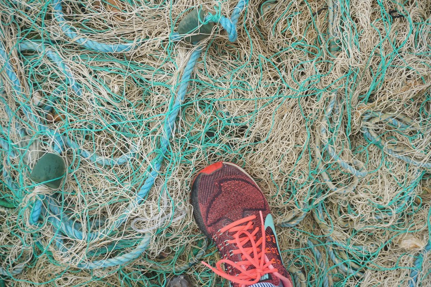 blog8